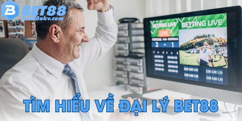 Tìm hiểu về đại lý Bet88