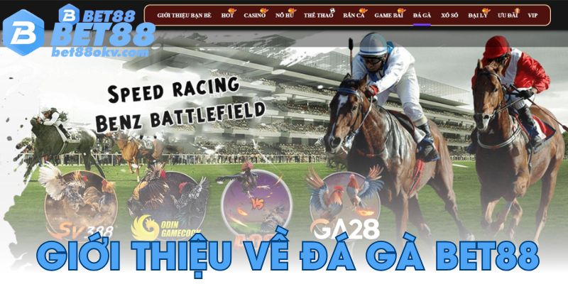 Giới thiệu về sảnh đá gà Bet88